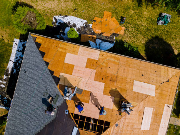 Best Metal Roofing Contractor  in Salina, OK